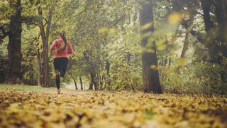Woman jogging in autumnal park