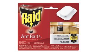 Raid ant baits