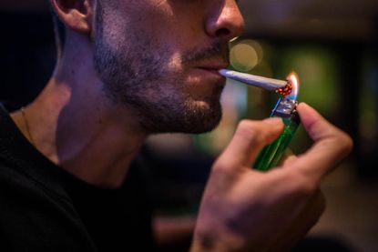 Scientists developing marijuana breath test to nab stoned drivers