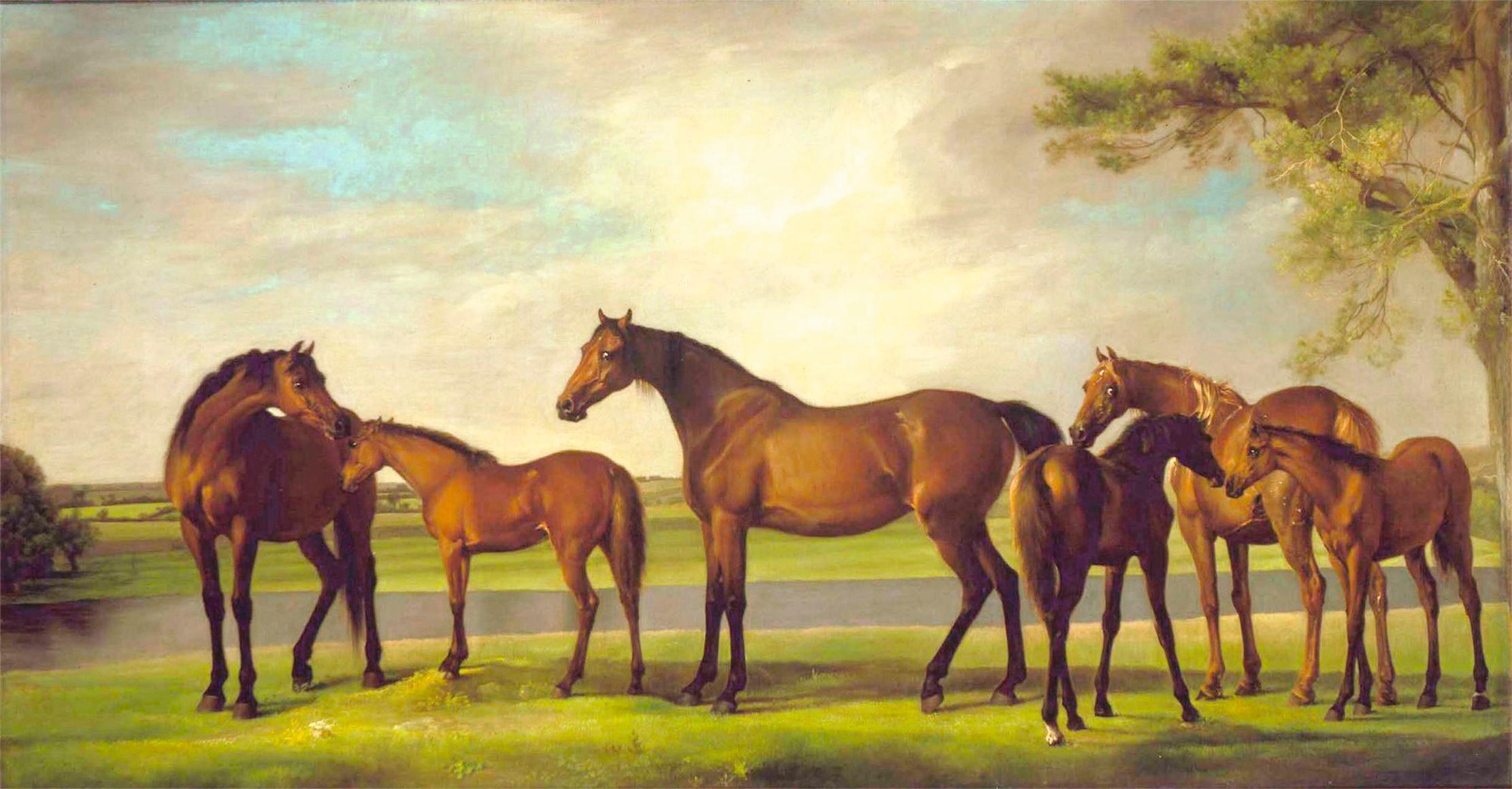 George Stubbs&#039;s &#039;Mares and Foals Disturbed by an Approaching Storm&#039;, a variation on a favourite theme.