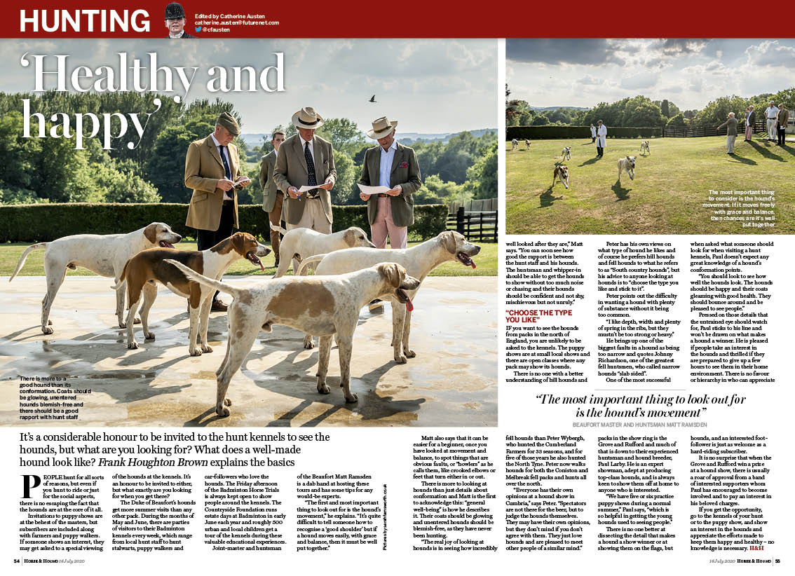 HT 2p looking at hounds feature