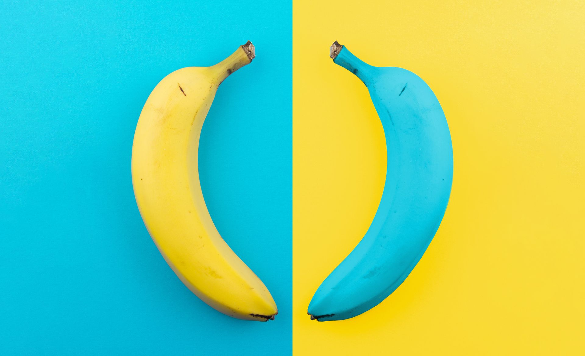 Yellow and blue bananas opposites concept