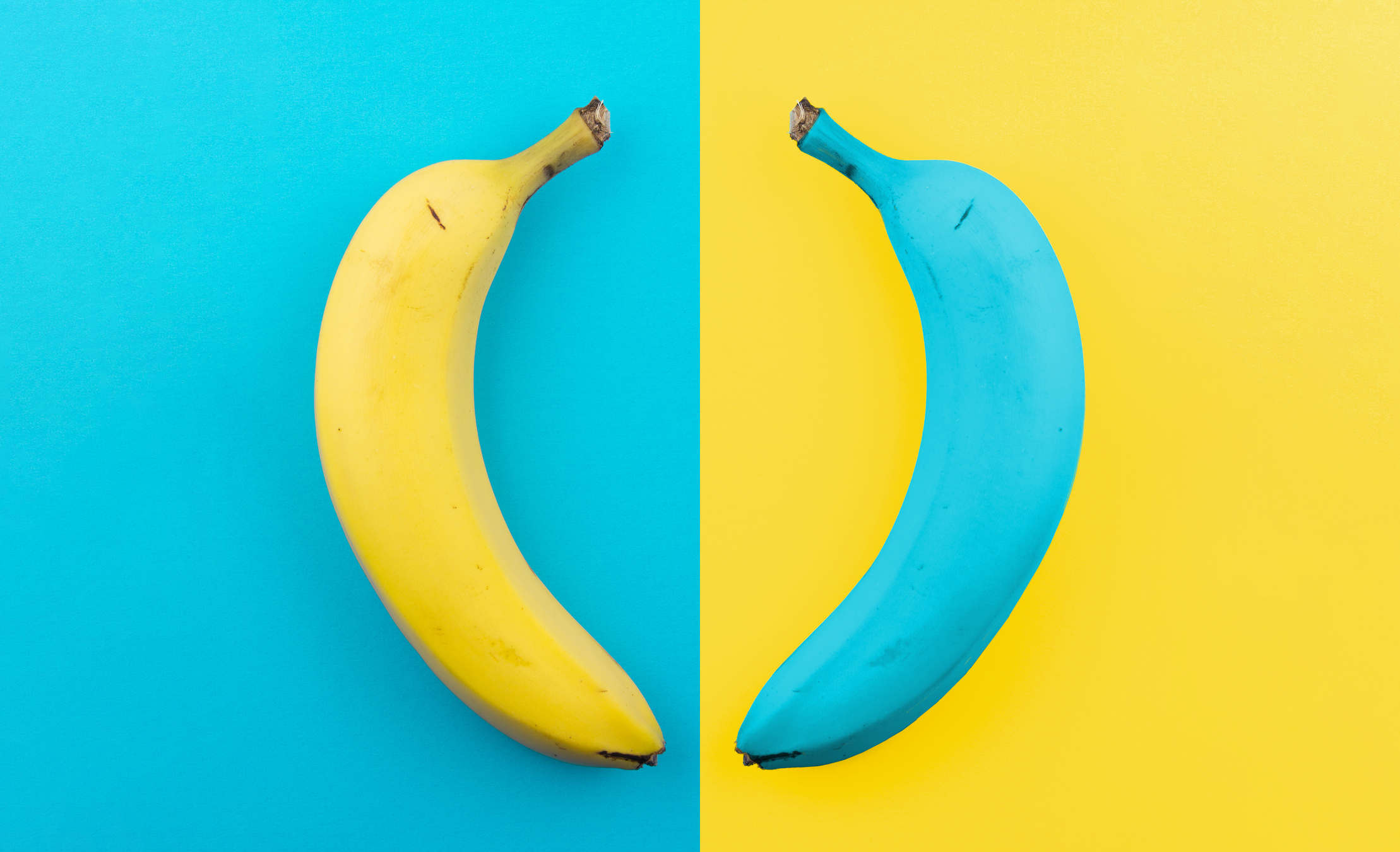 Yellow and blue bananas opposites concept
