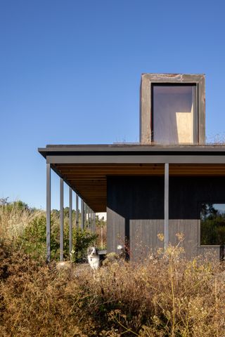 exterior detail of Mexican rain harvest home