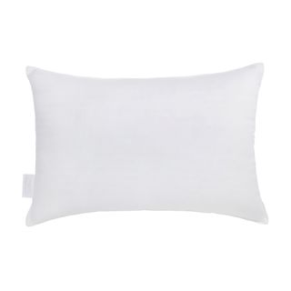 A white feather and down pillow