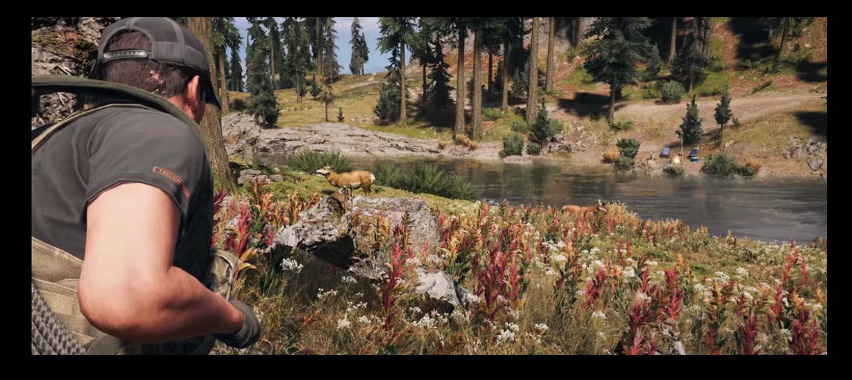 Far Cry 5 in-game documentary maker: 'I've been pounced by cougars