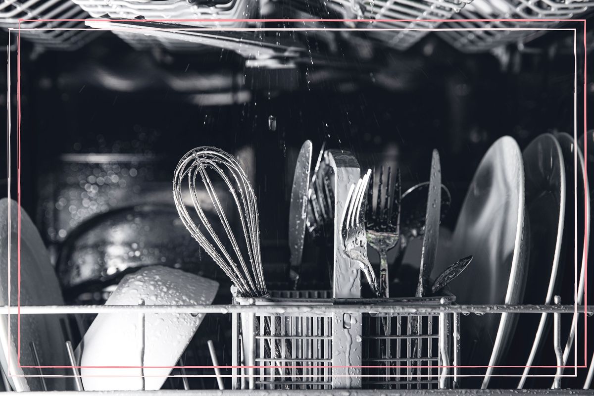How to clean a dishwasher, according to cleaning experts | GoodtoKnow