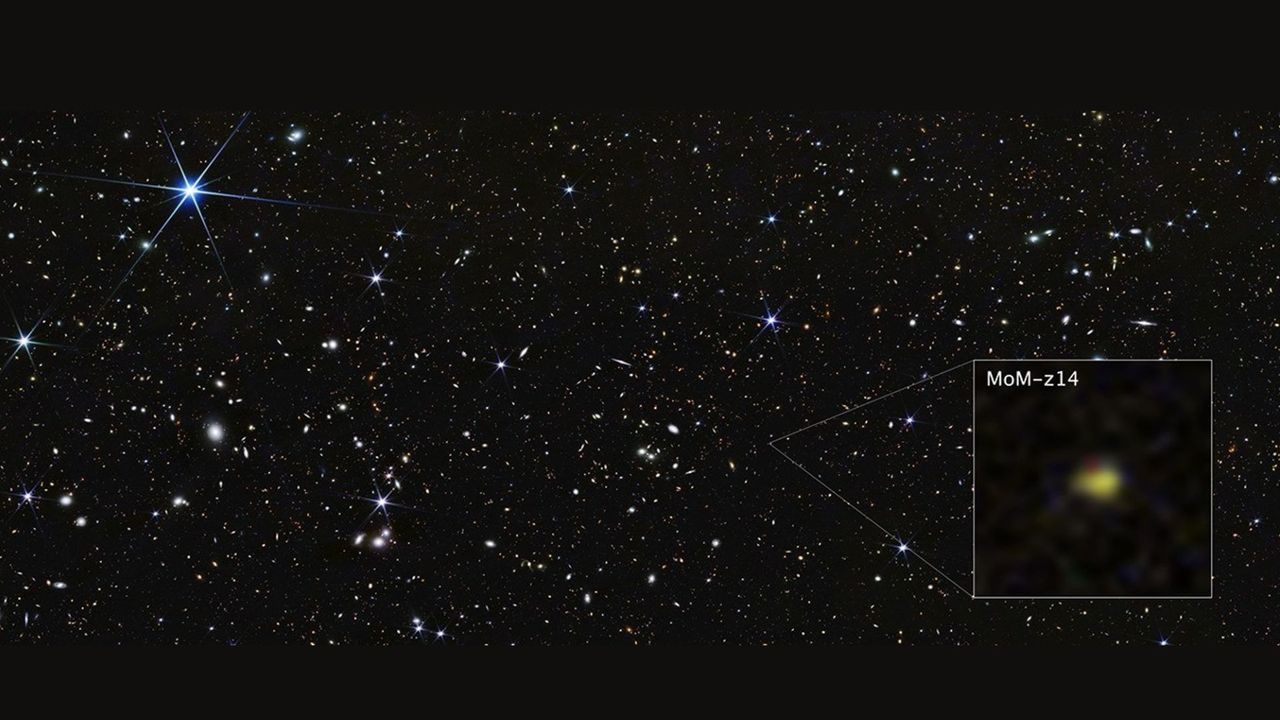 James Webb Space Telescope finds most distant galaxy ever detected: 'It looks nothing like what we predicted'