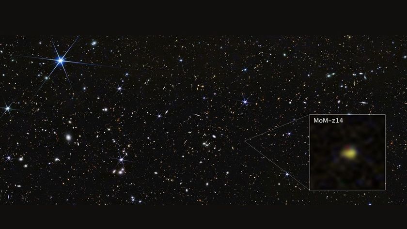 An image of a starfield with a boxout to the right showing a yellow smudge with the label MoM-z14.