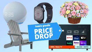 Amazon Echo Dot with Clock, Apple Watch 8, Easter flowers, Adirondack Chair, Onn Roku TV