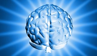 brain size, intelligence, big brain smarter