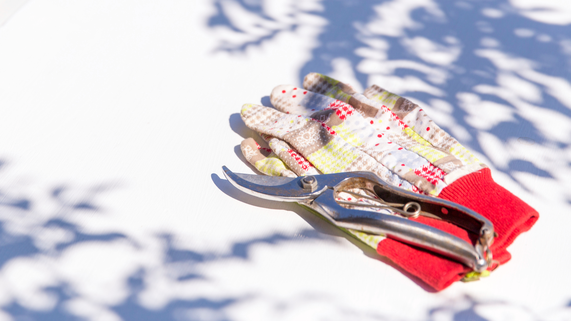 Japanese hand pruners on garden gloves on table in a sunny garden