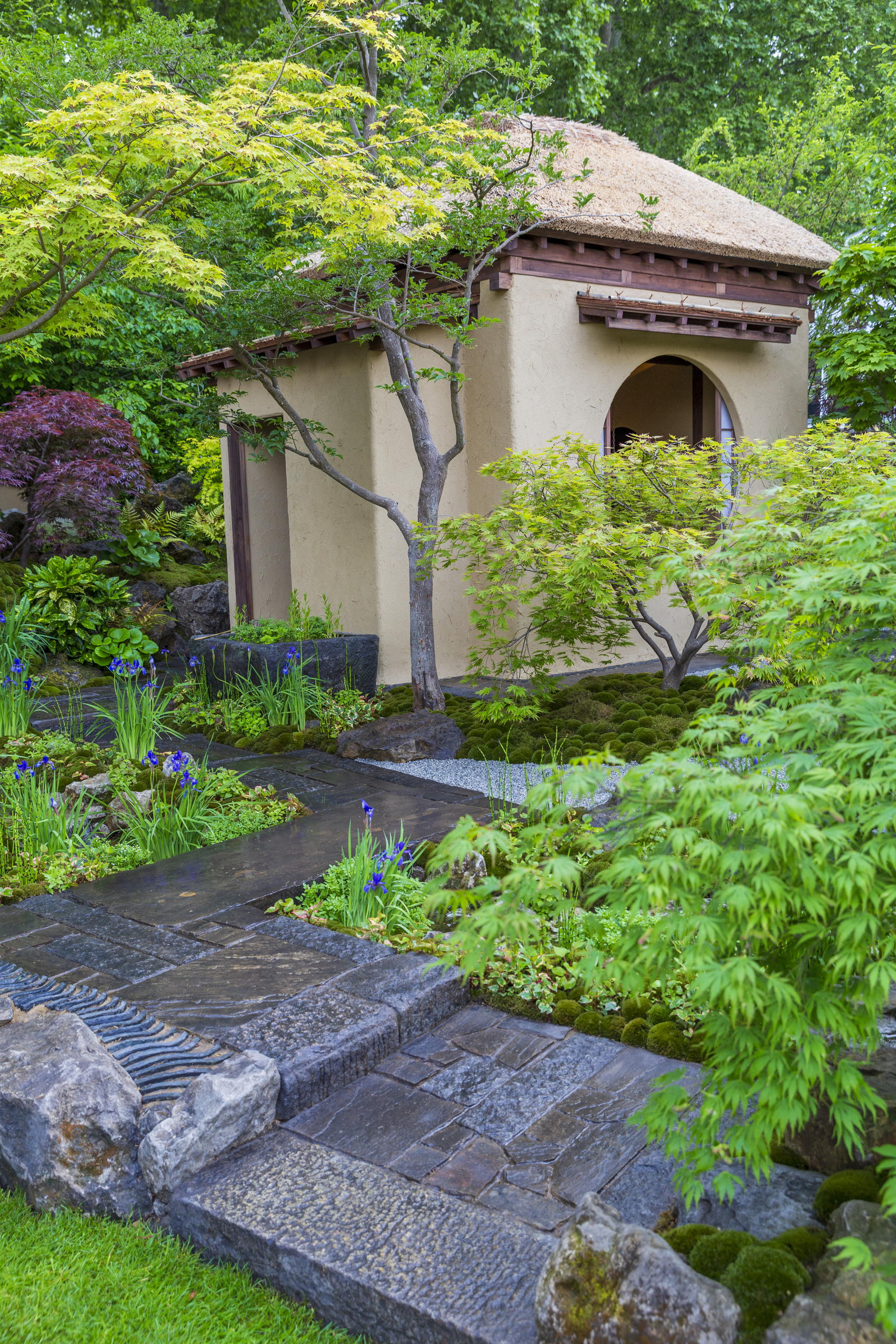 Cha no Niwa - Japanese Tea Garden at RHS Chelsea Flower Show 2025