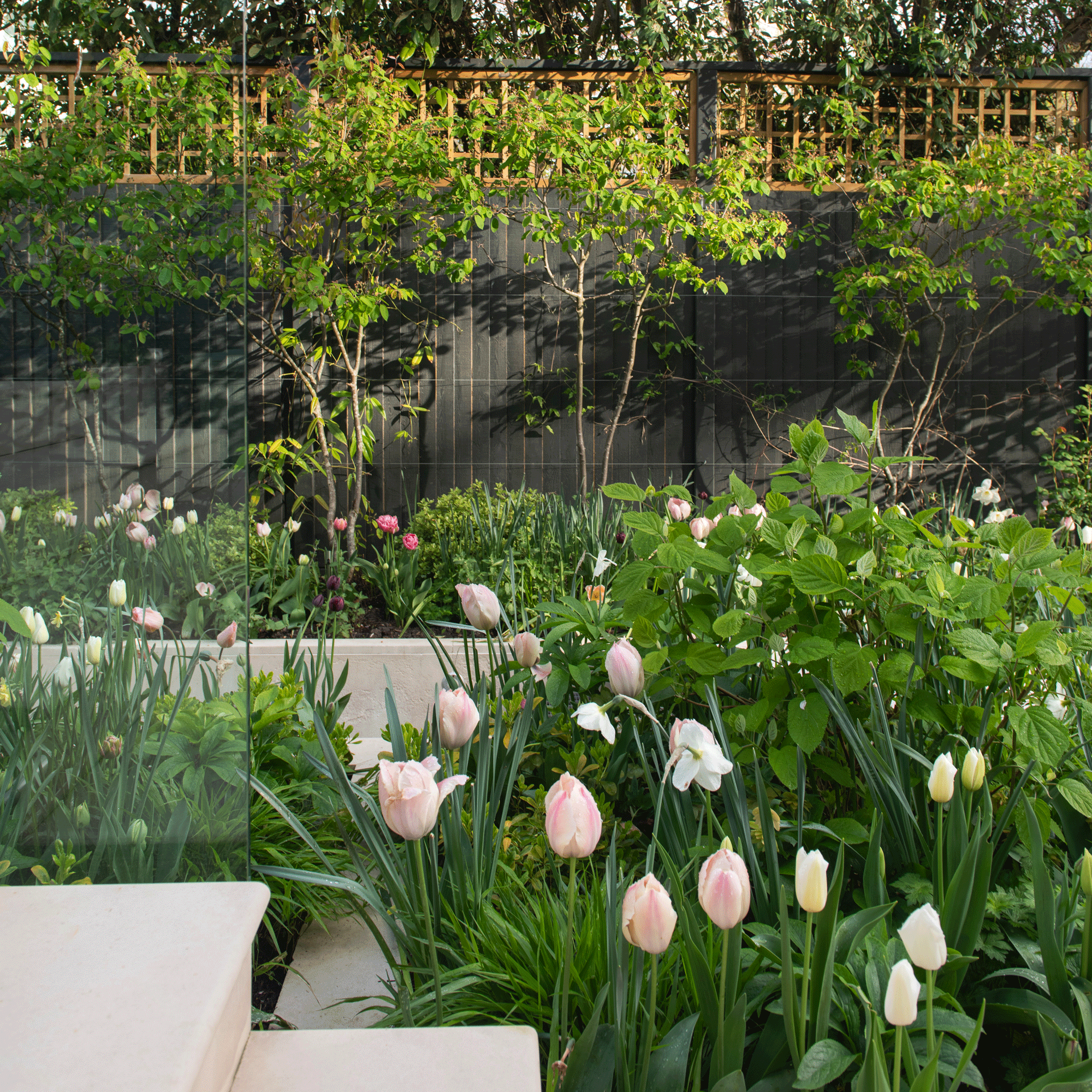 a garden with tulip-packed flowerbeds beside steps and fencing
