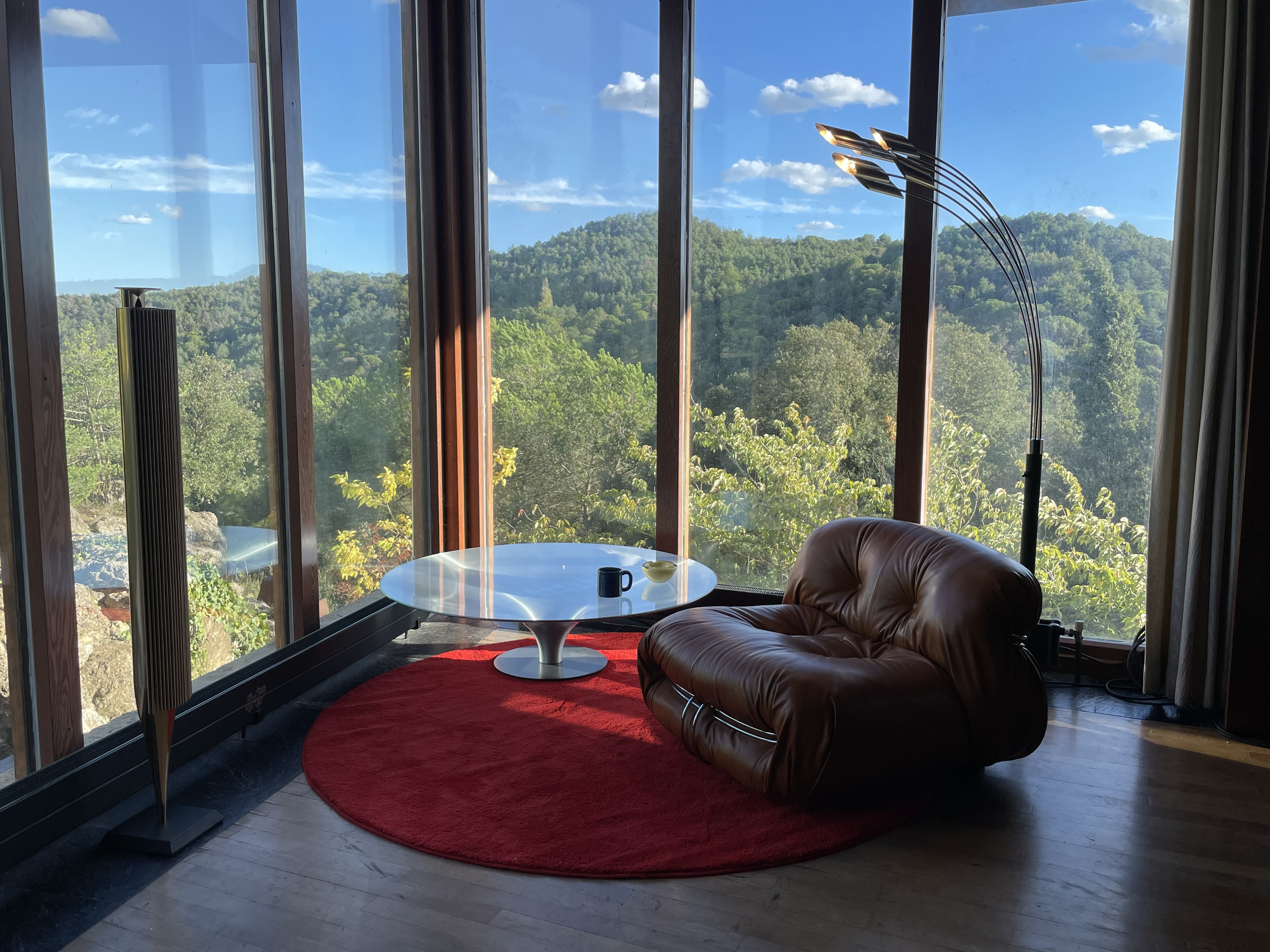 A floor-to-ceiling window in a room decorated with a chubby brown leather armchair, a round coffee table, a red round rug, and a standing lamp, overlooks onto a sun-lit patch of forest.