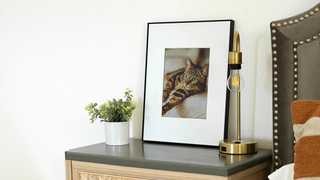 Aluratek ePaper 13.3” WiFi Digital Photo Frame showing cat image on beside table