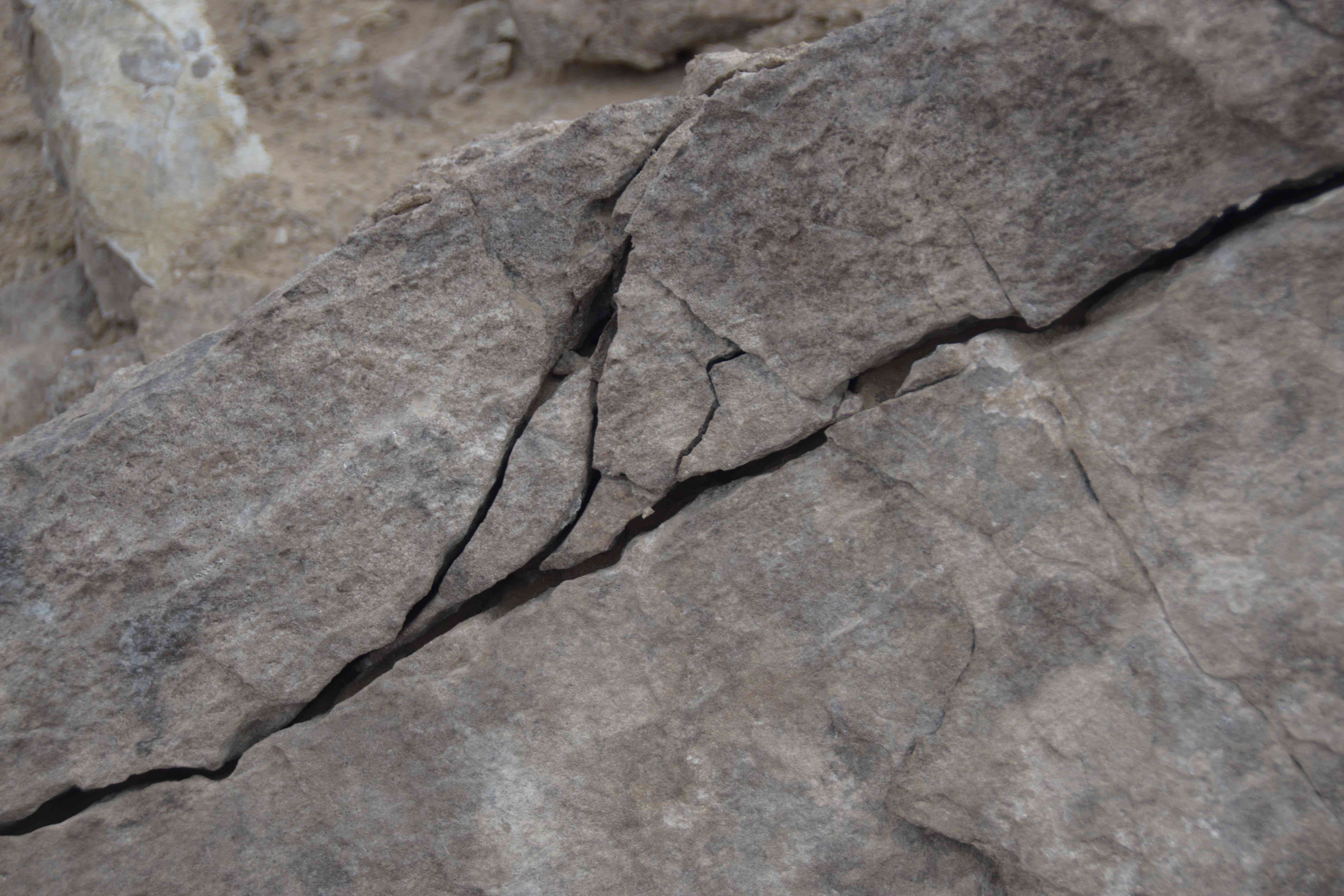 A close-up of dry, cracked Arctic tundra.
