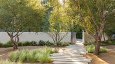 agave planted alog the fence line of a white wall in a xeriscape garden