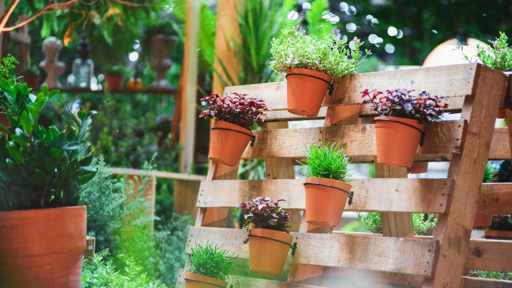 Potted plants on a vertical wooden pallet