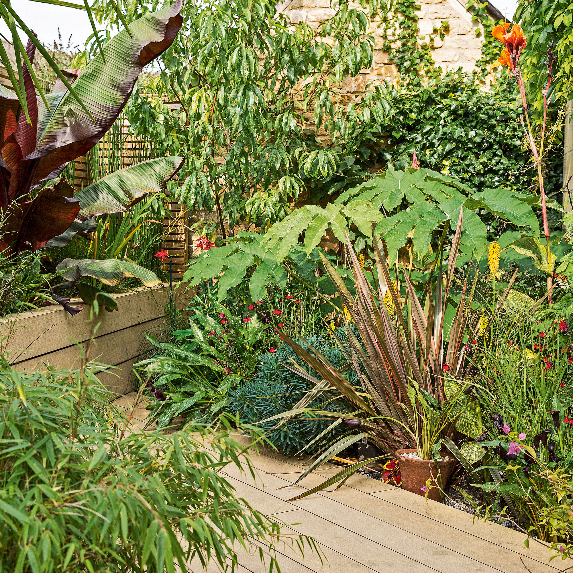 garden decking surrounded by plants and raised beds