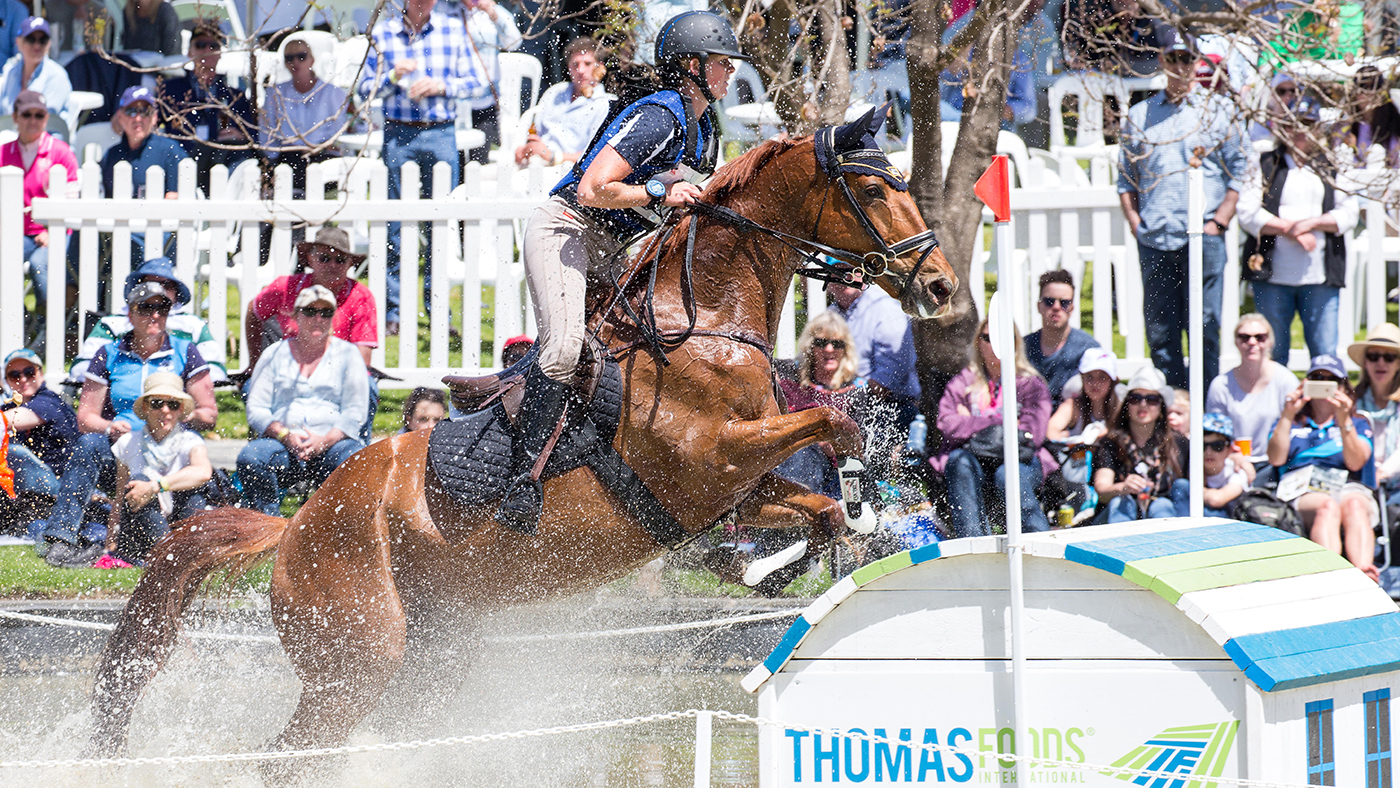 Hazel Shannon and Willingapark Clifford at Adelaide.