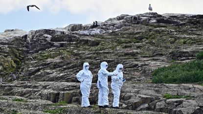 National Trust rangers wear protective suits and masks 