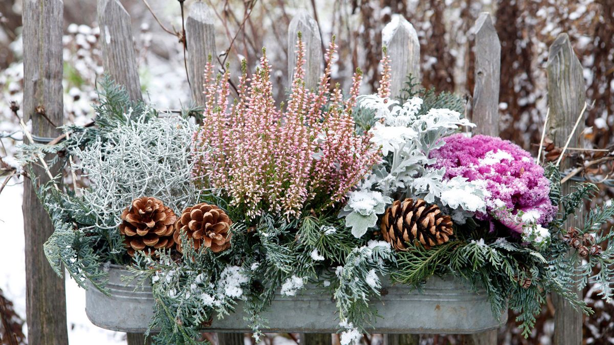 5 Ideas For Planting Winter Pots – These Outdoor Containers Make a December Garden Look so Much Better
