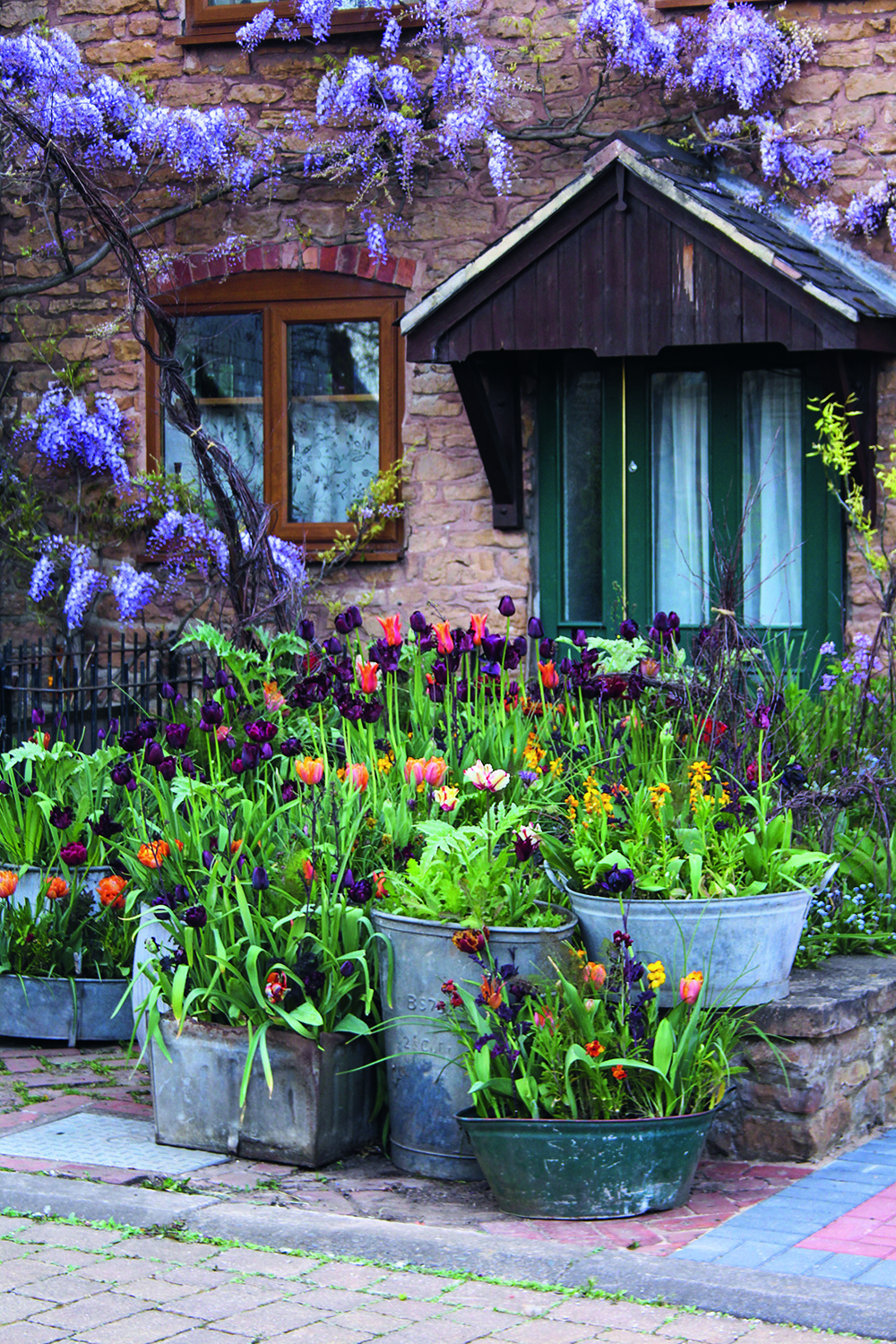 Arthur Parkinson's flower garden with tulips