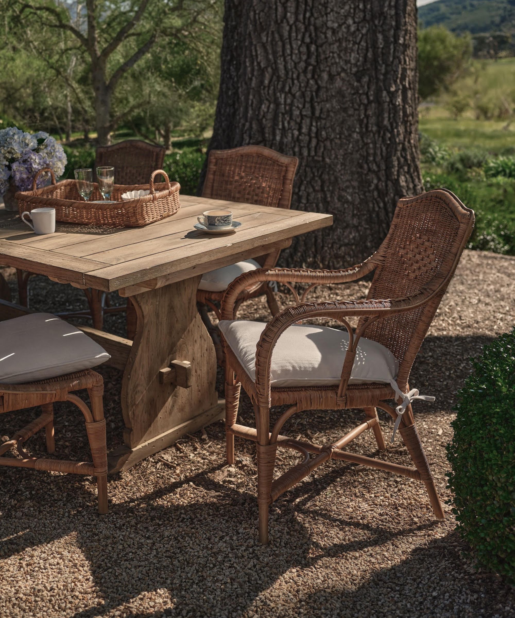 olive ateliers pamela anderson