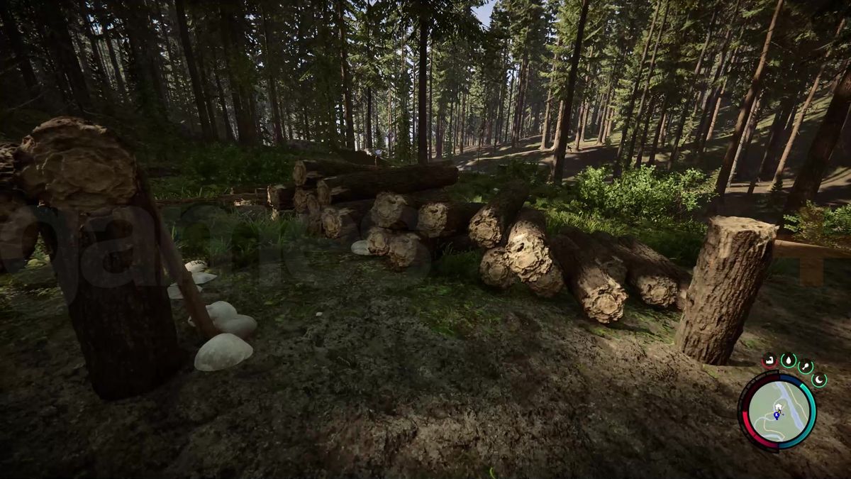 Best Sons of the Forest settings for an fps boost