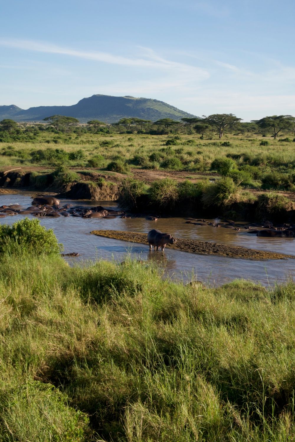 Serengeti Balloons Safaris