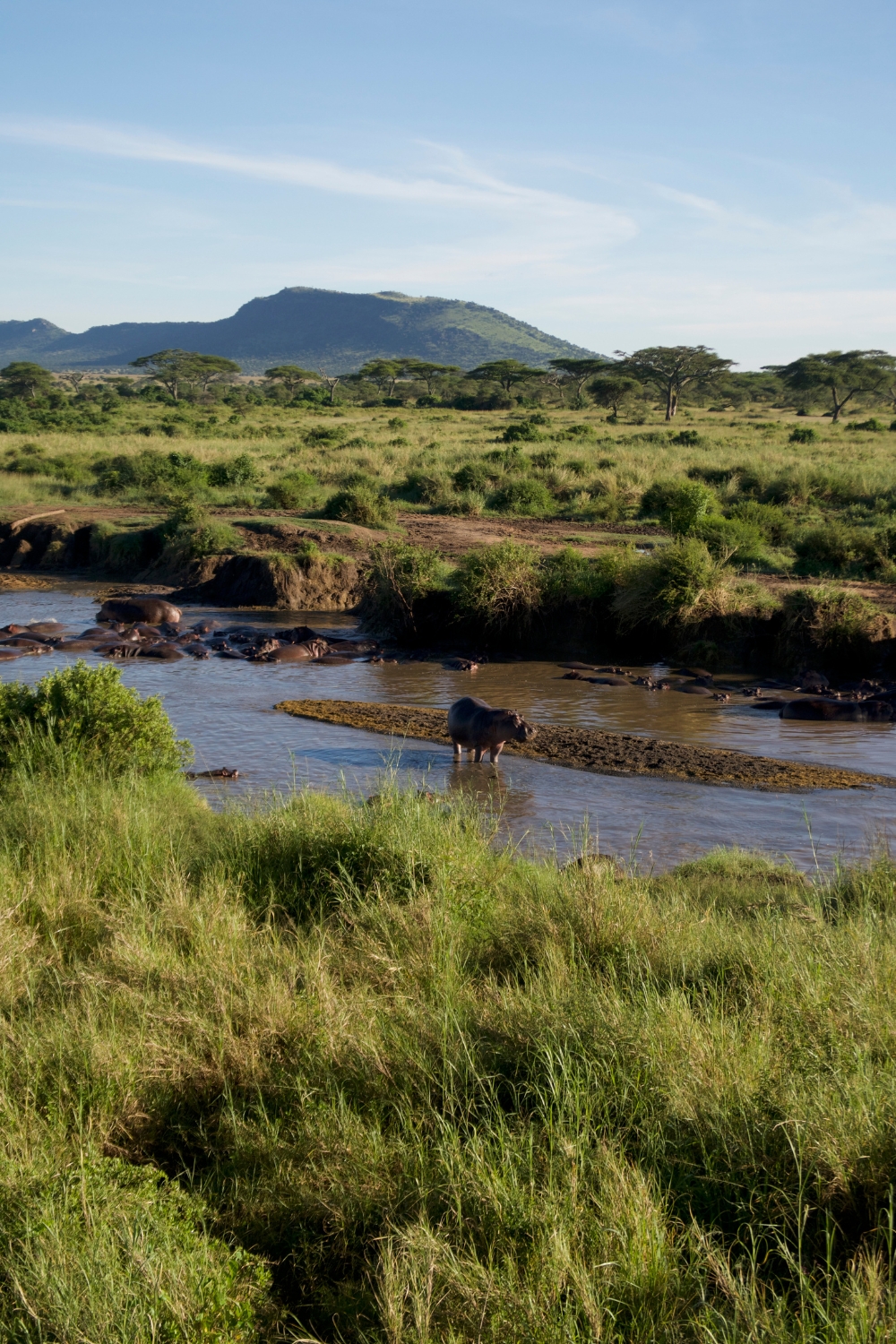 Serengeti Balloons Safaris 