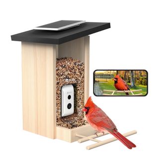 Walmart bird feeder with camera