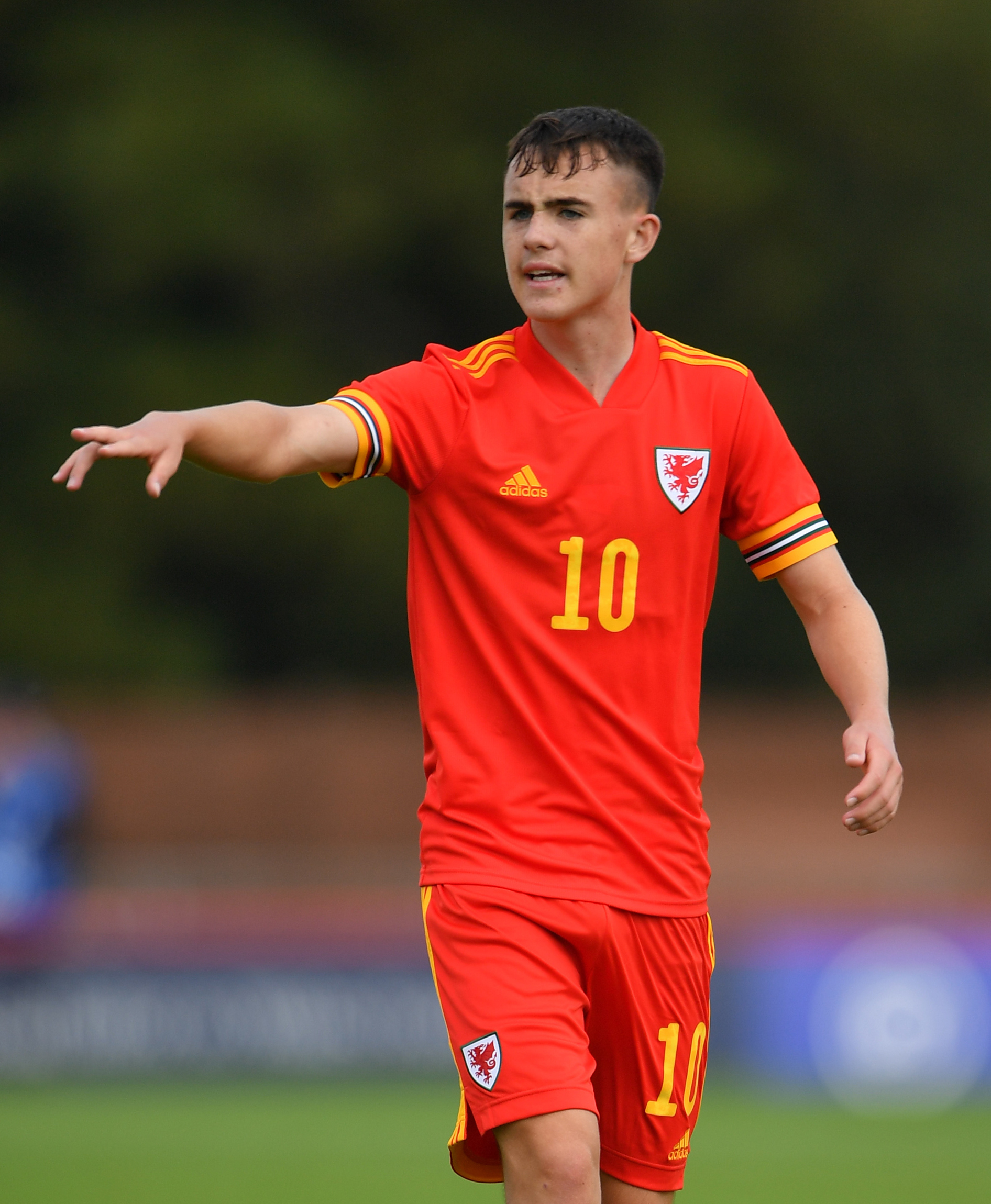 Fulham midfielder Luke Harris has received his first senior Wales call-up.