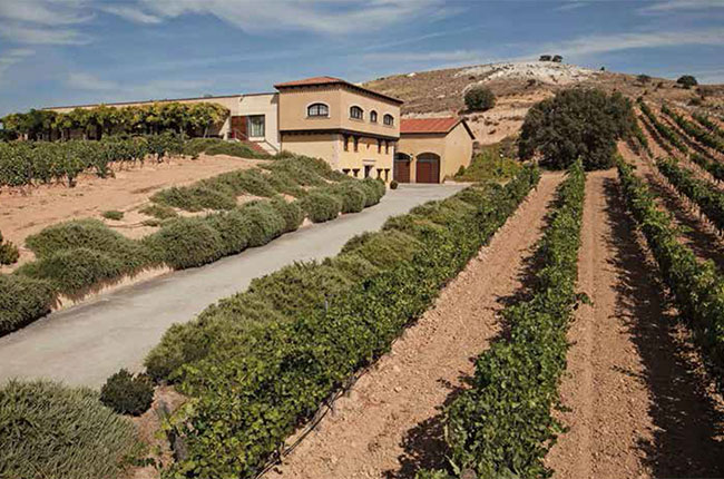 Freixenet Bodegas Valdub&oacute;n