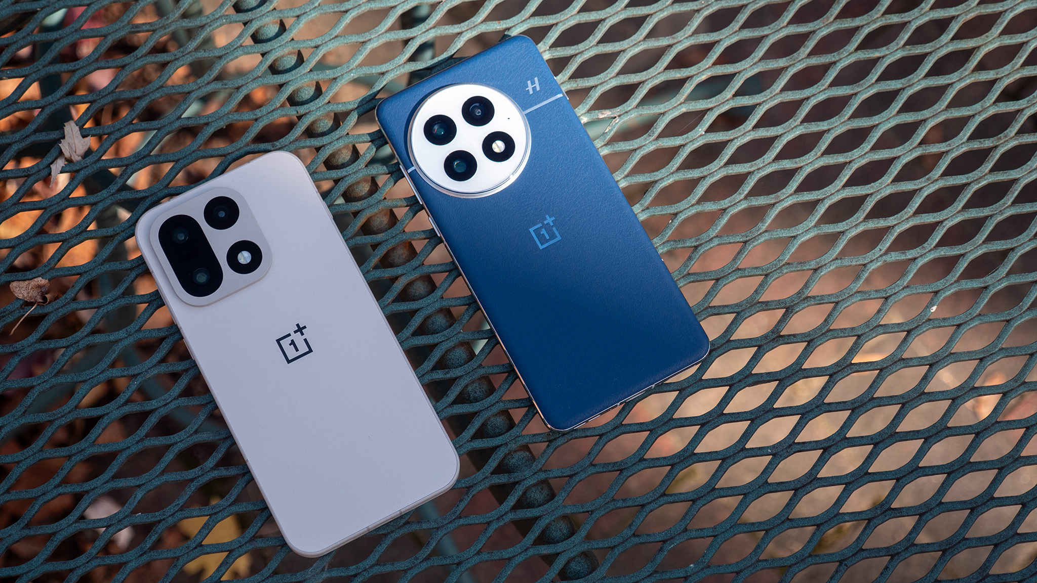 Comparing the backs of the Sand Storm OnePlus 15 with the Ocean Blue OnePlus 13