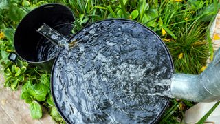 Rainwater butt in garden running off to second barrel