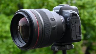 Canon RF 85mm f/1.2L USM