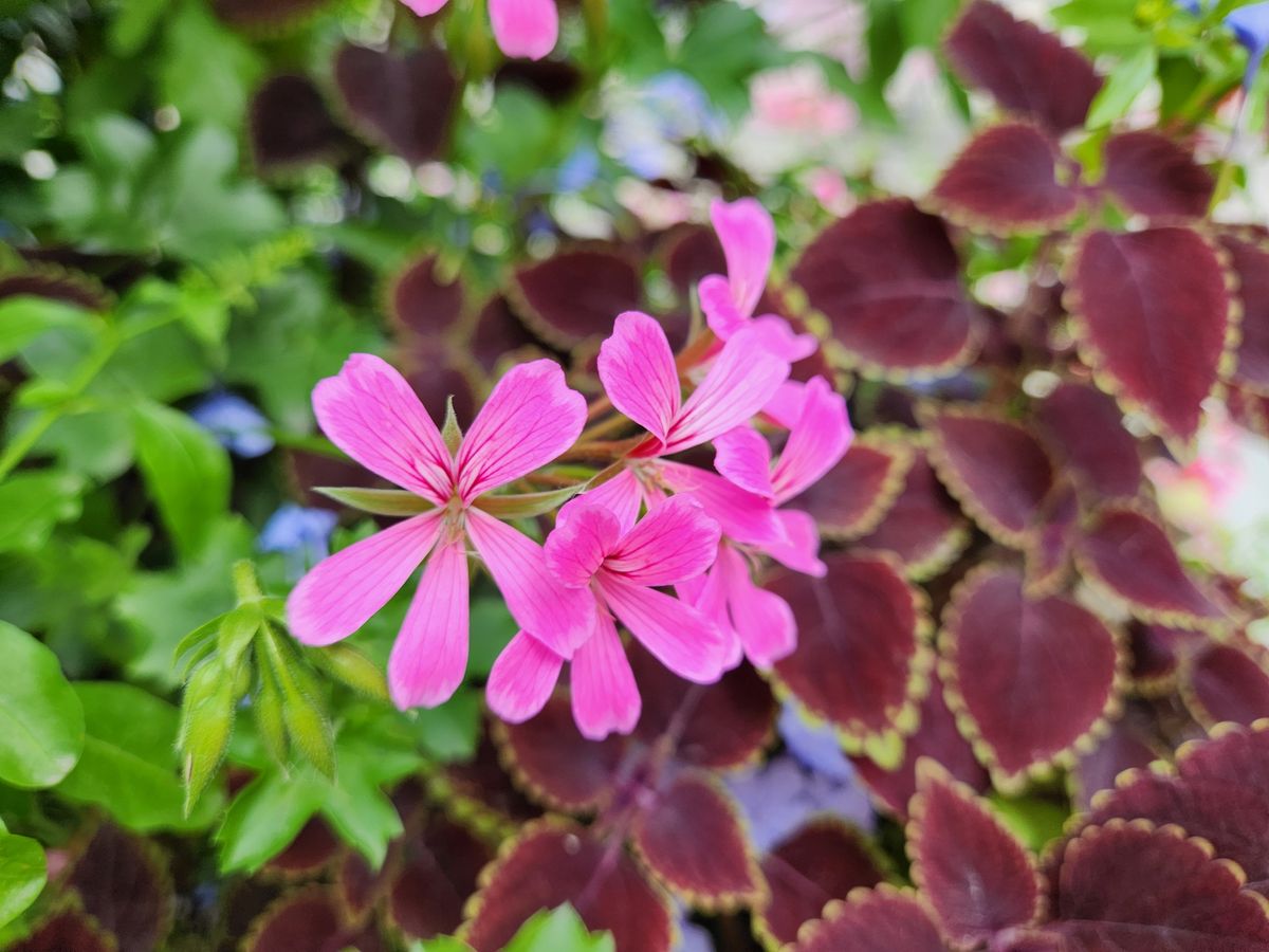 Samsung Galaxy Z Fold 4 closeup sample.