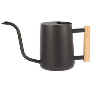 Plant Watering Can,35oz Metal Watering Can