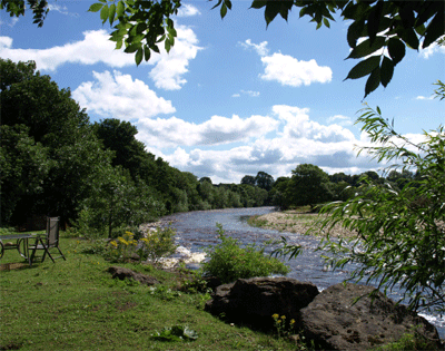 yorkshire-property-garden.gif