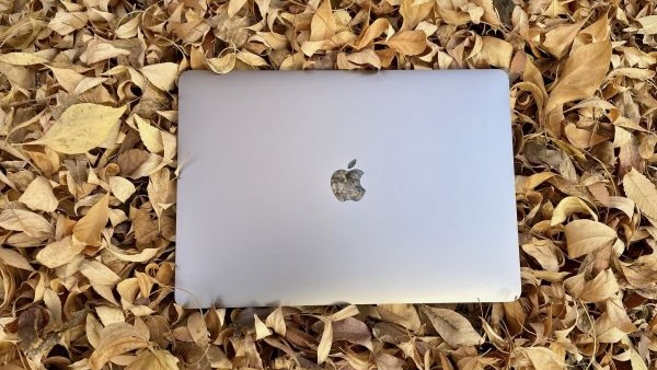 MacBook Air in leaves