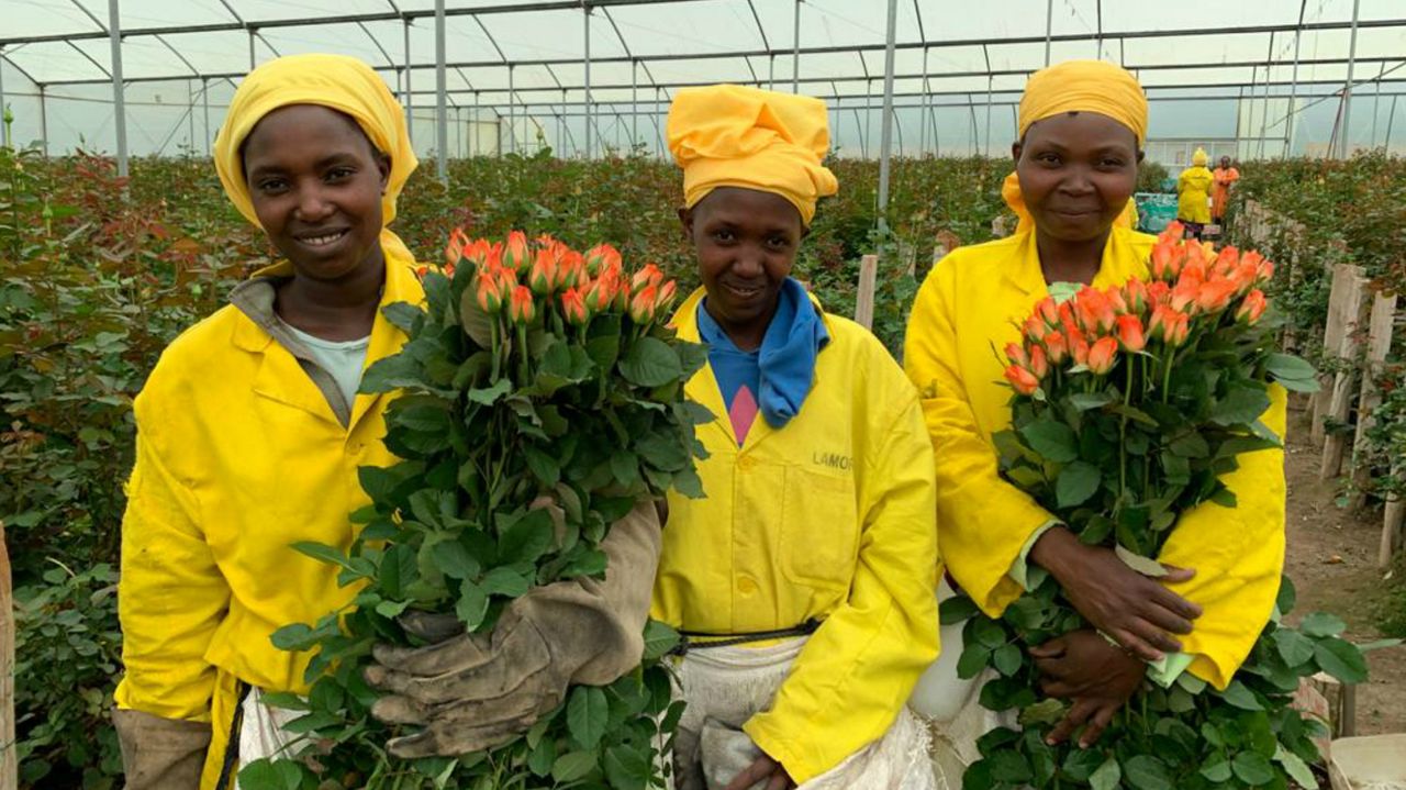 Kenyan flower farmers