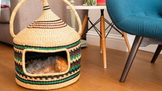 Bam's Art Shop Handmade Woven Cat Basket