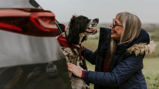 Dog in boot, being stroked by smiling woman kneeling down