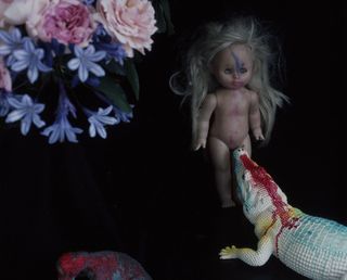 Plastic Doll and aligator in one frame.