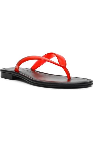 dRGUef5s2A29D2kUDdnhTR-320-80 هذا النمط بانت مع Flip-Flops يخلق مجموعة الصيف الأكثر روعة
