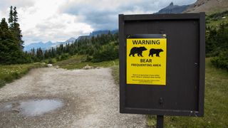 Bear warning sign at Glacier National Park, Montana, USA