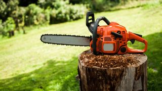 Cheap chainsaw deals: Image shows a chainsaw on a tree stump.