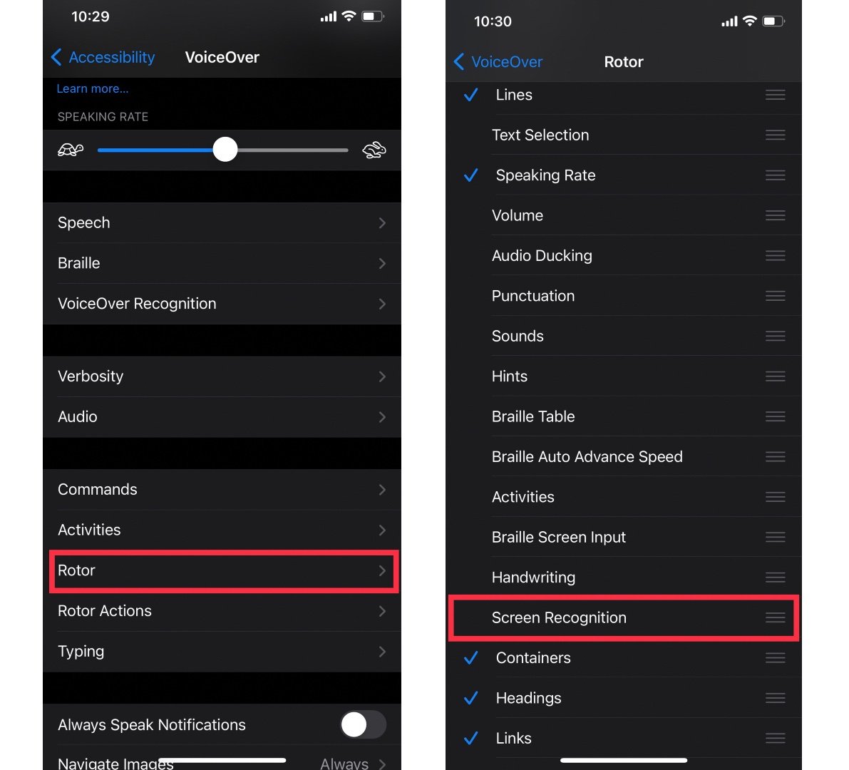 Go to Rotor and tap on Screen Recognition
